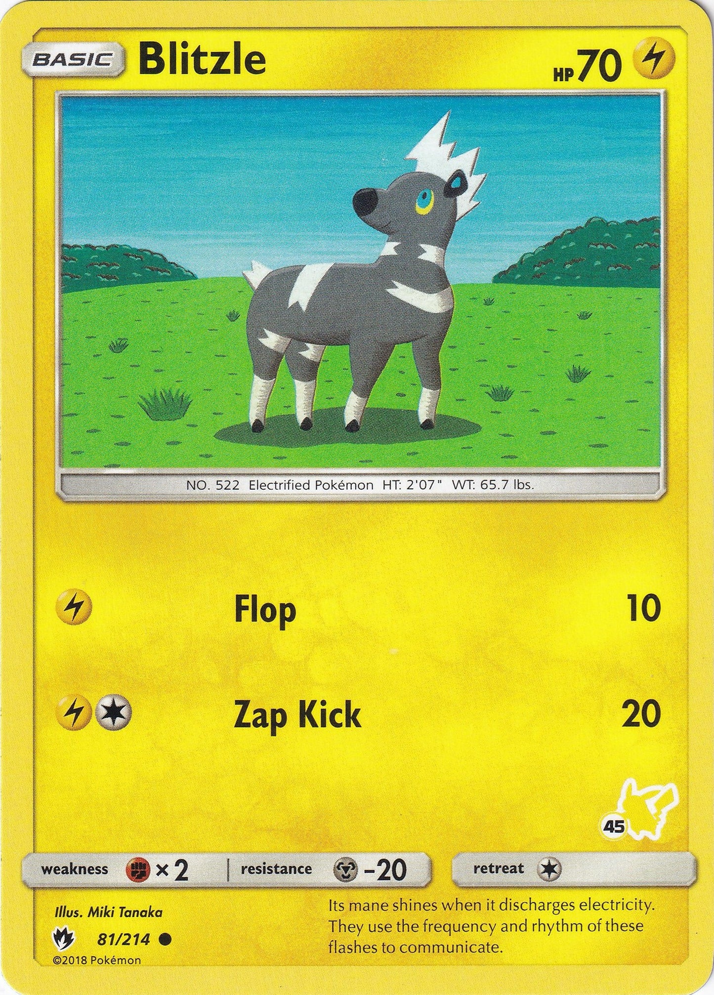 Image for Blitzle - 81/214 (#45 Pikachu Stamped) (081/214) (Battle Academy) - Pokemon