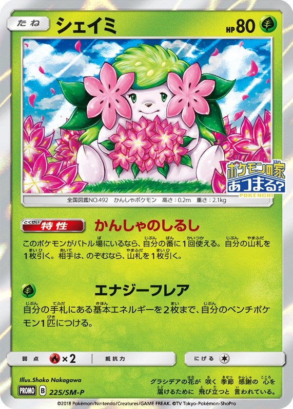 Image for Shaymin - 225/SM-P (JP Exclusive) (225/SM-P) (SM Promos) - Pokemon