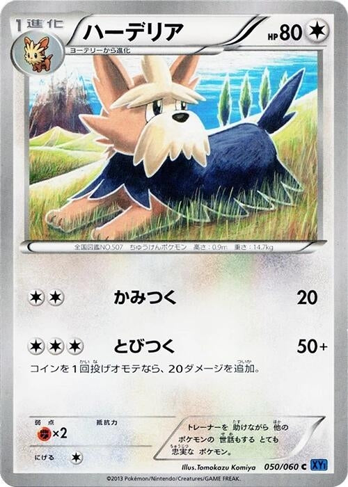 Image for Herdier (050/060) (XY-Bx: Collection X) (XY-Bx) - Pokemon Japan