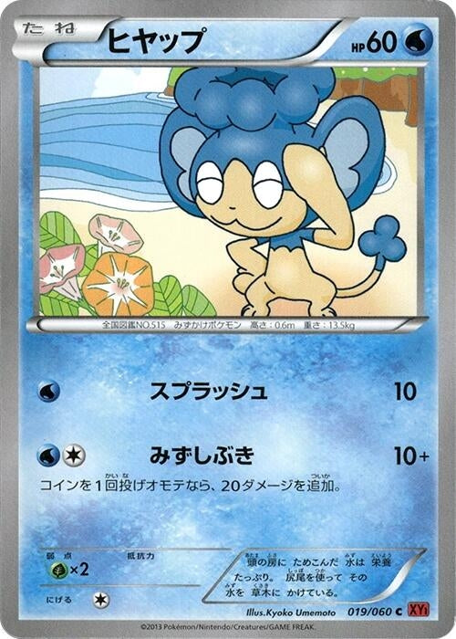 Image for Panpour (019/060) (XY-By: Collection Y) (XY-By) - Pokemon Japan
