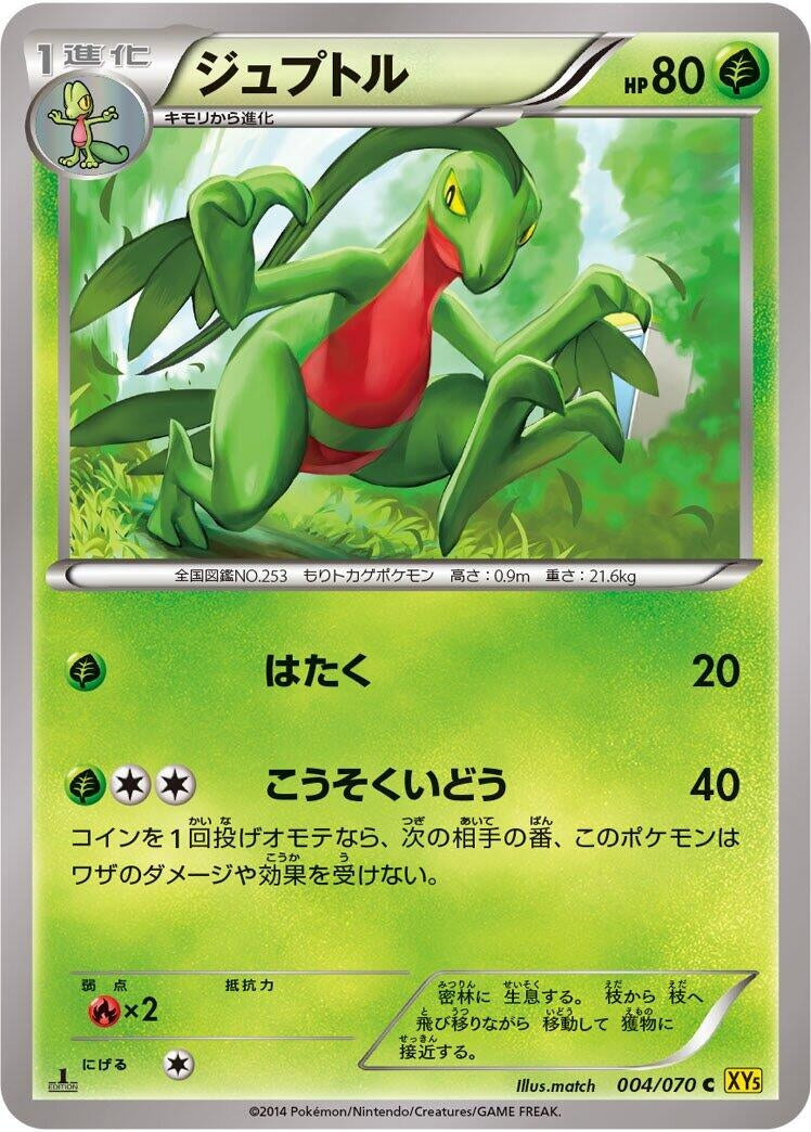 Image for Grovyle (004/070) (XY5-Bg: Gaia Volcano) (XY5-Bg) - Pokemon Japan