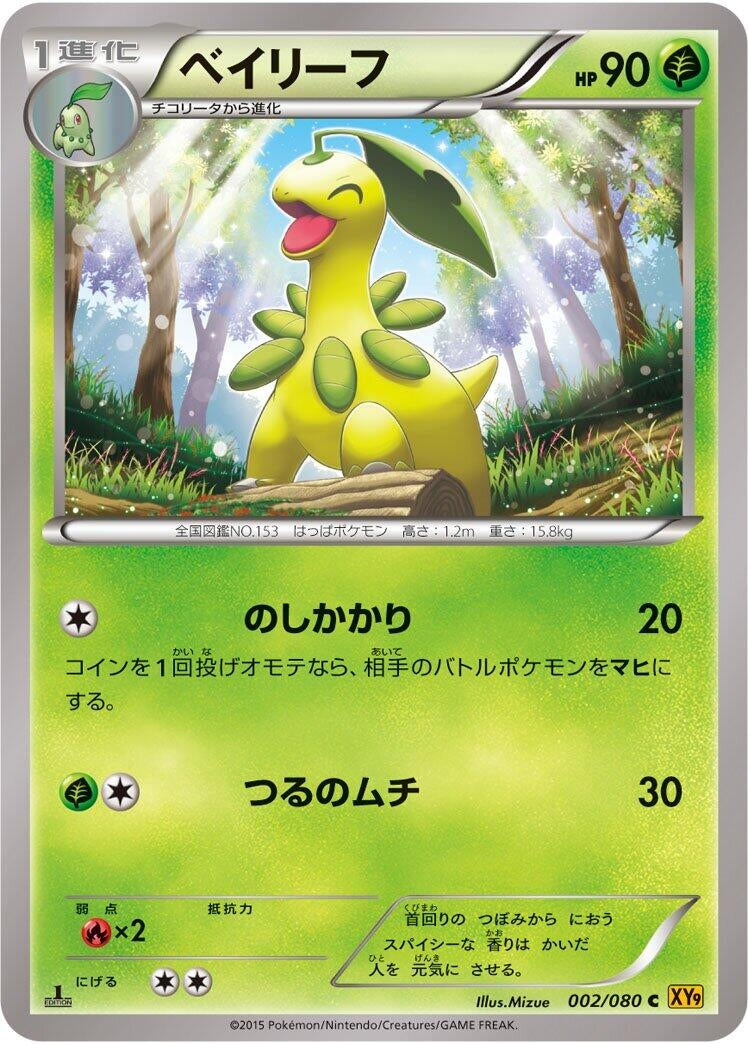 Image for Bayleef (002/080) (XY9: Rage of the Broken Heavens) (XY9) - Pokemon Japan