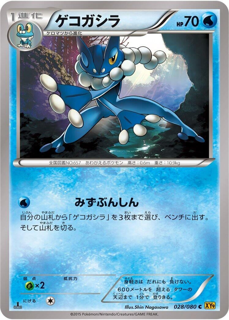 Image for Frogadier (028/080) (XY9: Rage of the Broken Heavens) (XY9) - Pokemon Japan