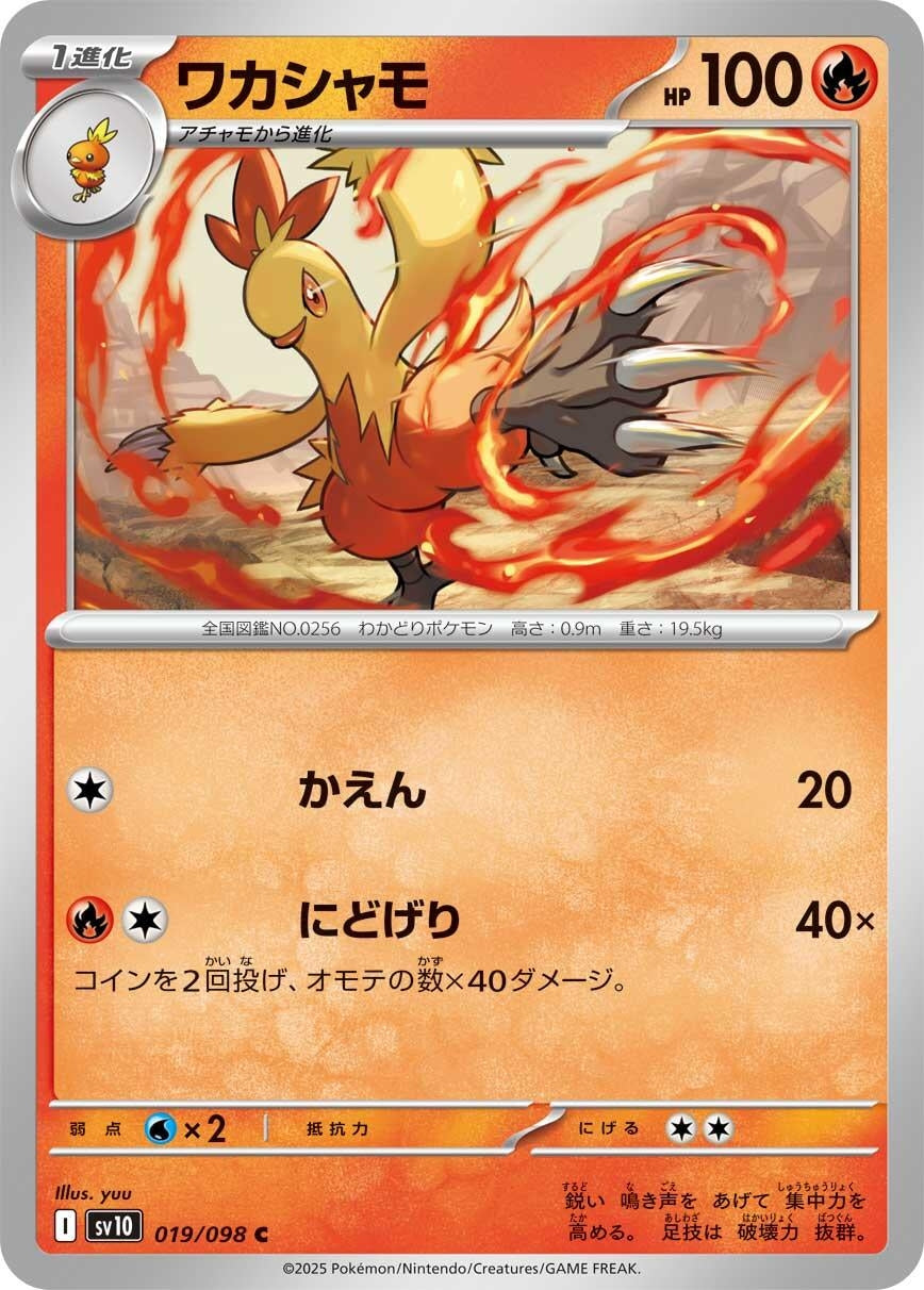 Image for Combusken (019/098) (SV10: The Glory of Team Rocket) - Pokemon Japan