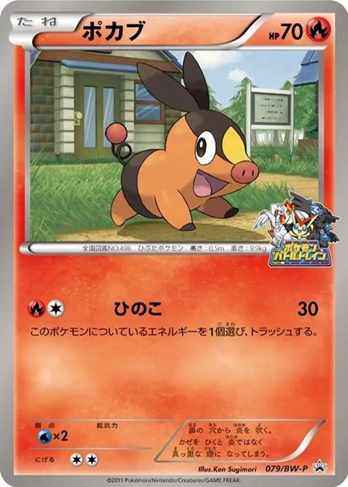 Image for Tepig - 079/BW-P (079/BW-P) (BW-P Promotional cards) (BW-P) - Pokemon Japan