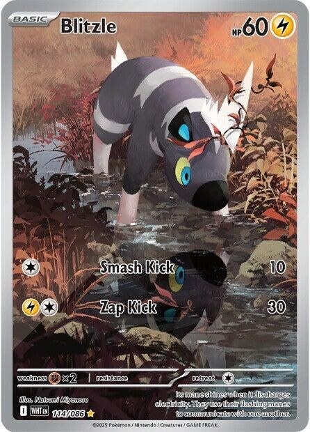 Blitzle (114/086) (SV: White Flare)