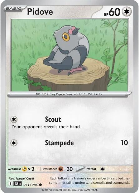 Image for Pidove (071/086) (SV: Black Bolt) - Pokemon