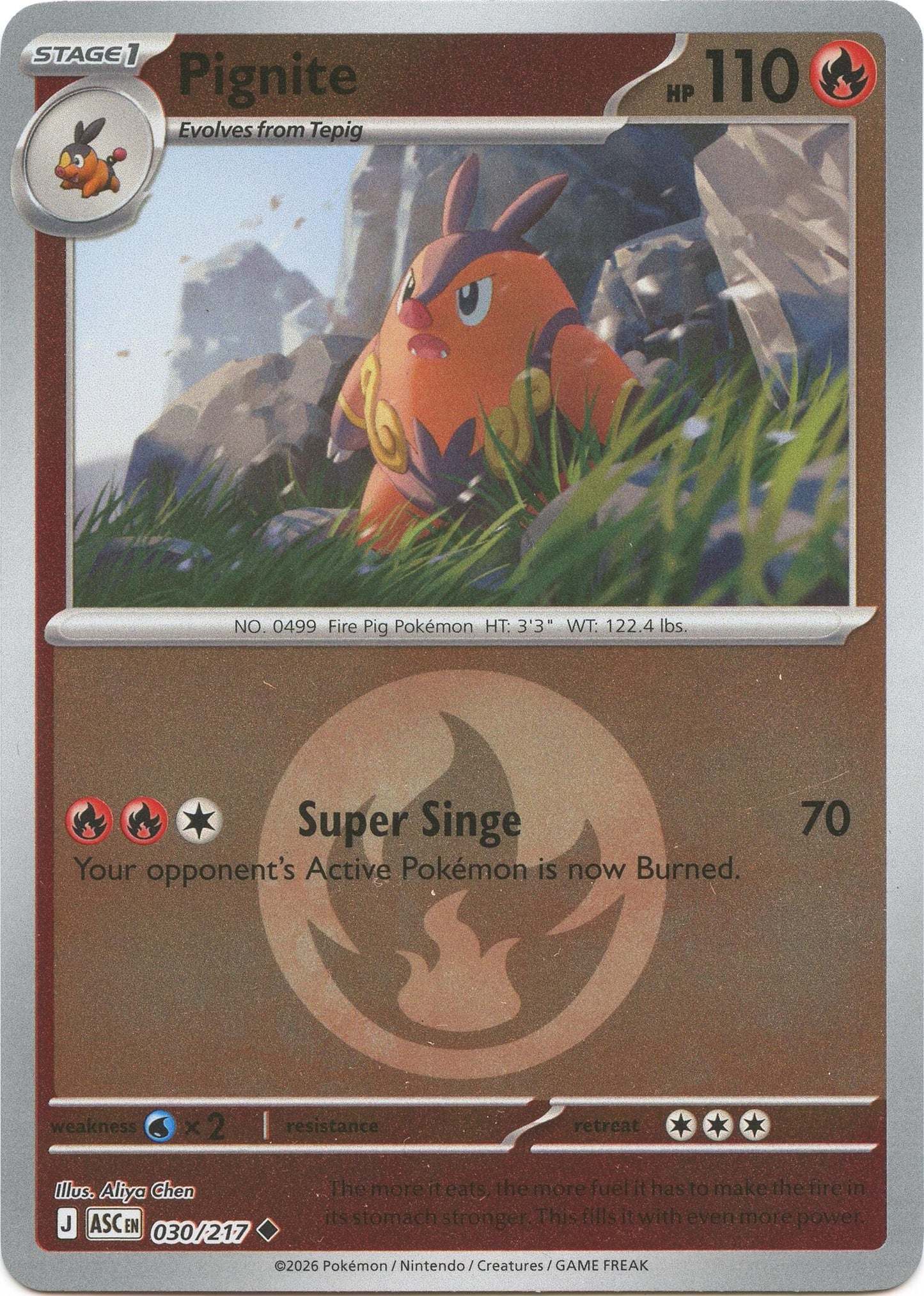 Pignite (Energy Symbol Pattern) (030/217) (ME: Ascended Heroes)