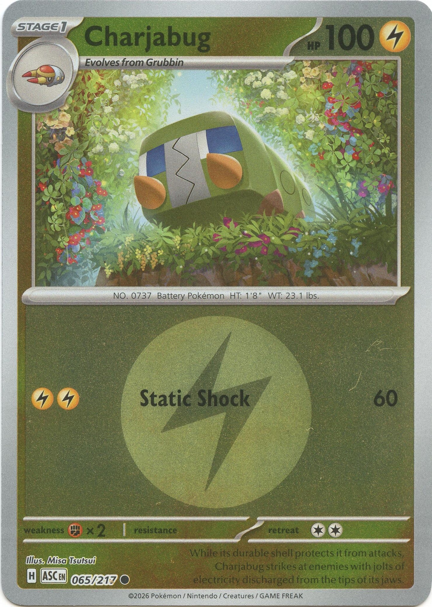 Charjabug (Energy Symbol Pattern) (065/217) (ME: Ascended Heroes)