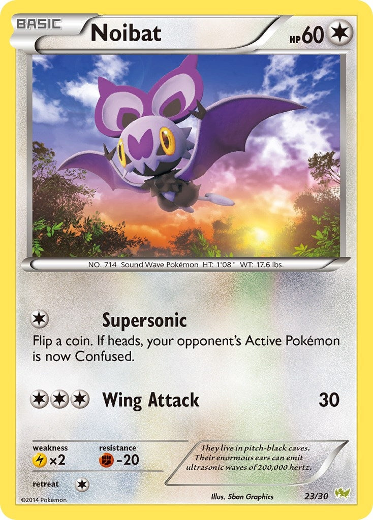 Image for Noibat (#23) (12/30) (XY Trainer Kit: Sylveon & Noivern) - Pokemon