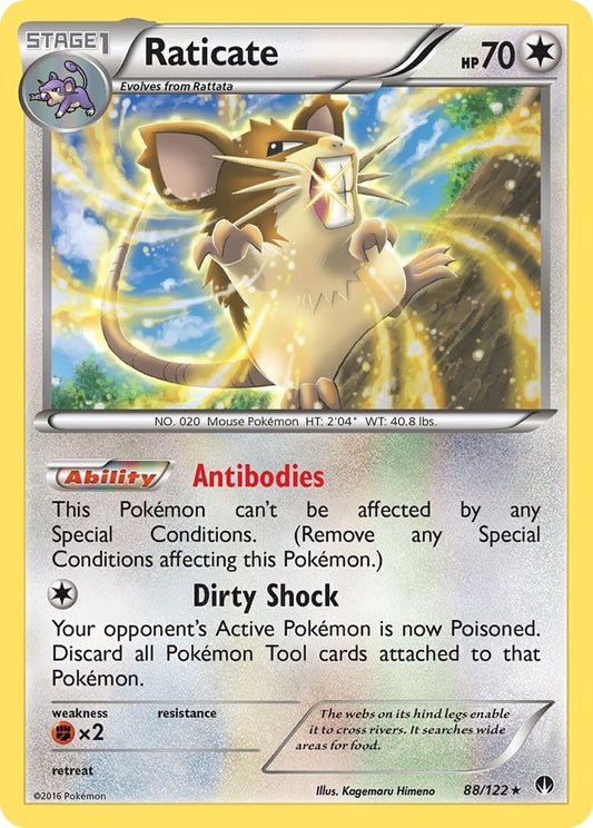 Image for Raticate (88/122) (XY - BREAKpoint) - Pokemon
