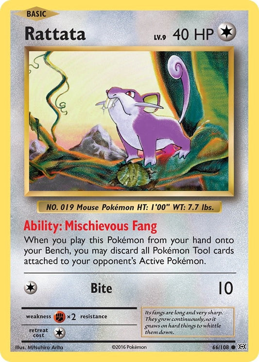 Image for Rattata (66/108) (XY - Evolutions) - Pokemon