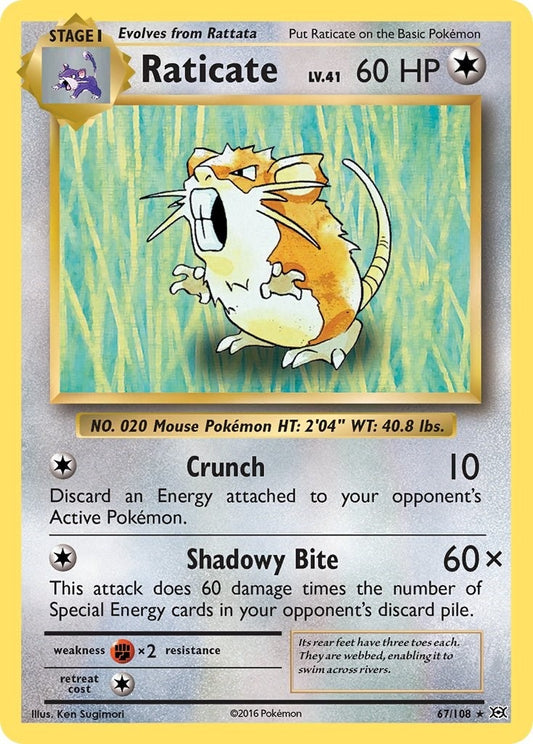 Image for Raticate (67/108) (XY - Evolutions) - Pokemon