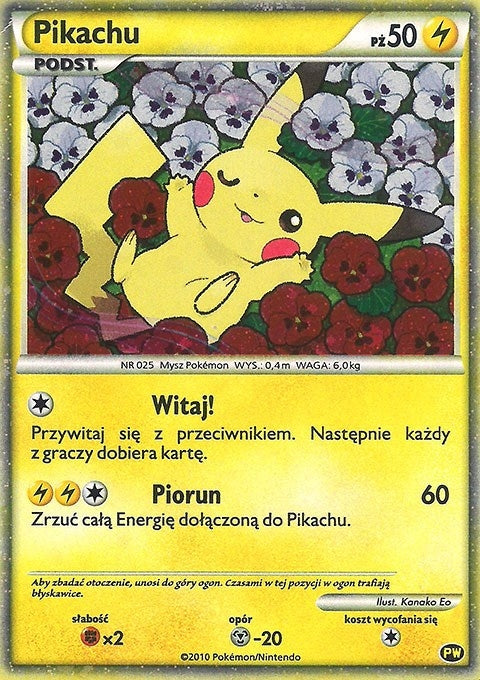 Image for Pikachu (Polish) (PW 8) (Pikachu World Collection Promos) - Pokemon