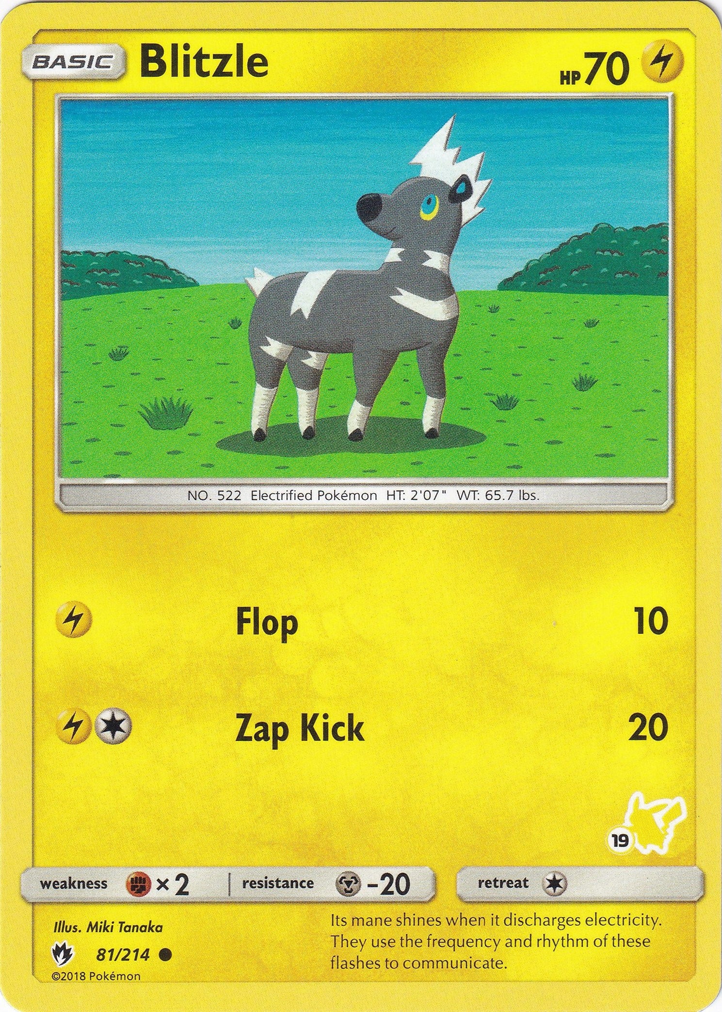 Image for Blitzle - 81/214 (#19 Pikachu Stamped) (081/214) (Battle Academy) - Pokemon