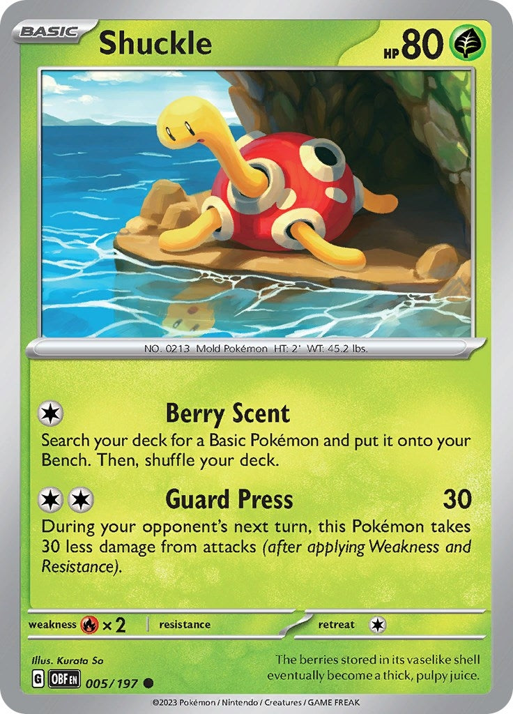 Image for Shuckle (005/197) (SV03: Obsidian Flames) - Pokemon