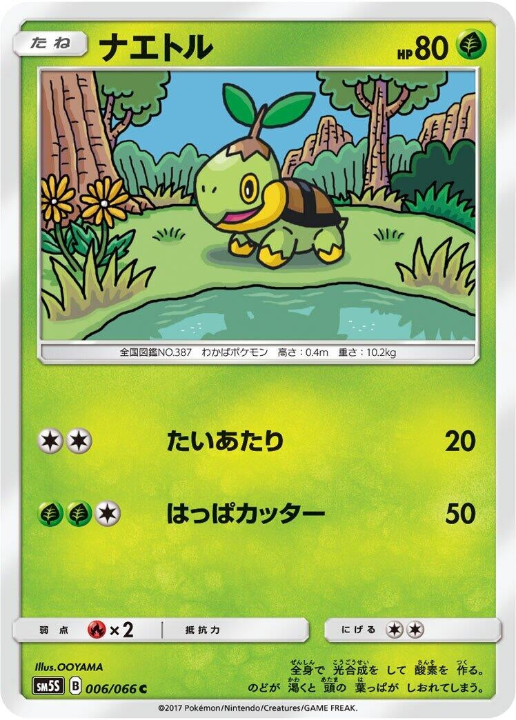 Image for Turtwig (006/066) (SM5S: Ultra Sun) (SM5S) - Pokemon Japan