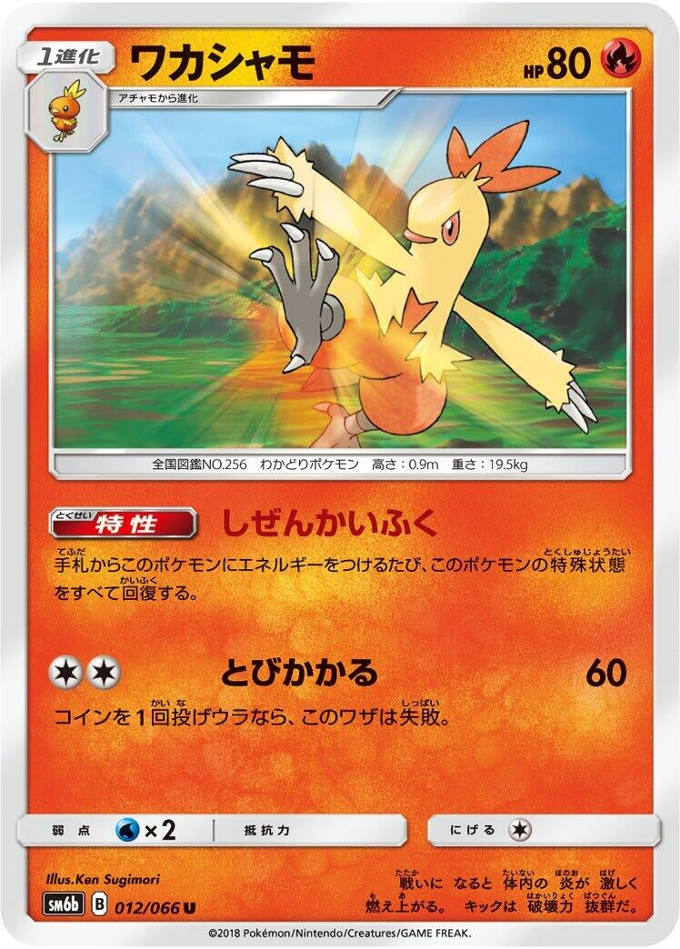 Image for Combusken (012/066) (SM6b: Champion Road) (SM6b) - Pokemon Japan