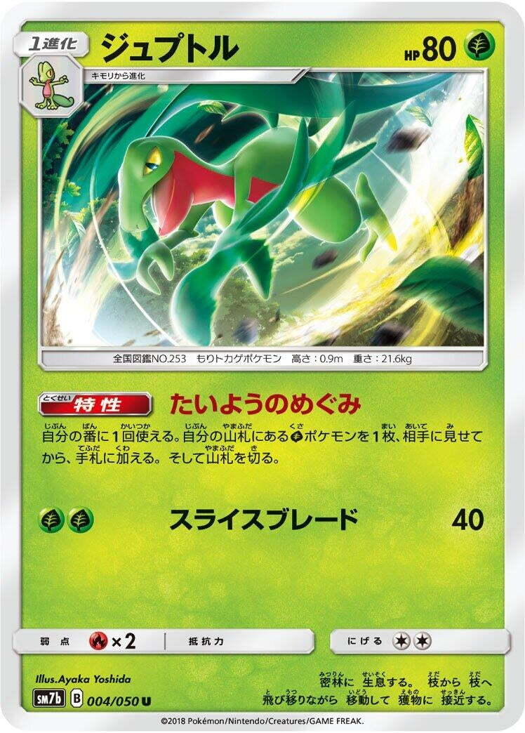 Image for Grovyle (004/050) (SM7b: Fairy Rise) - Pokemon Japan