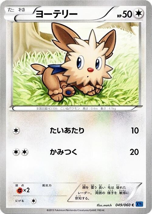 Image for Lillipup (049/060) (XY-Bx: Collection X) (XY-Bx) - Pokemon Japan
