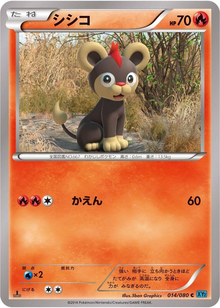 Image for Litleo (014/080) (XY2: Wild Blaze) (XY2) - Pokemon Japan