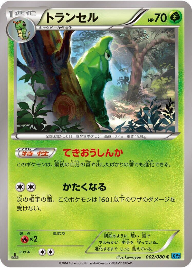Image for Metapod (002/080) (XY2: Wild Blaze) (XY2) - Pokemon Japan