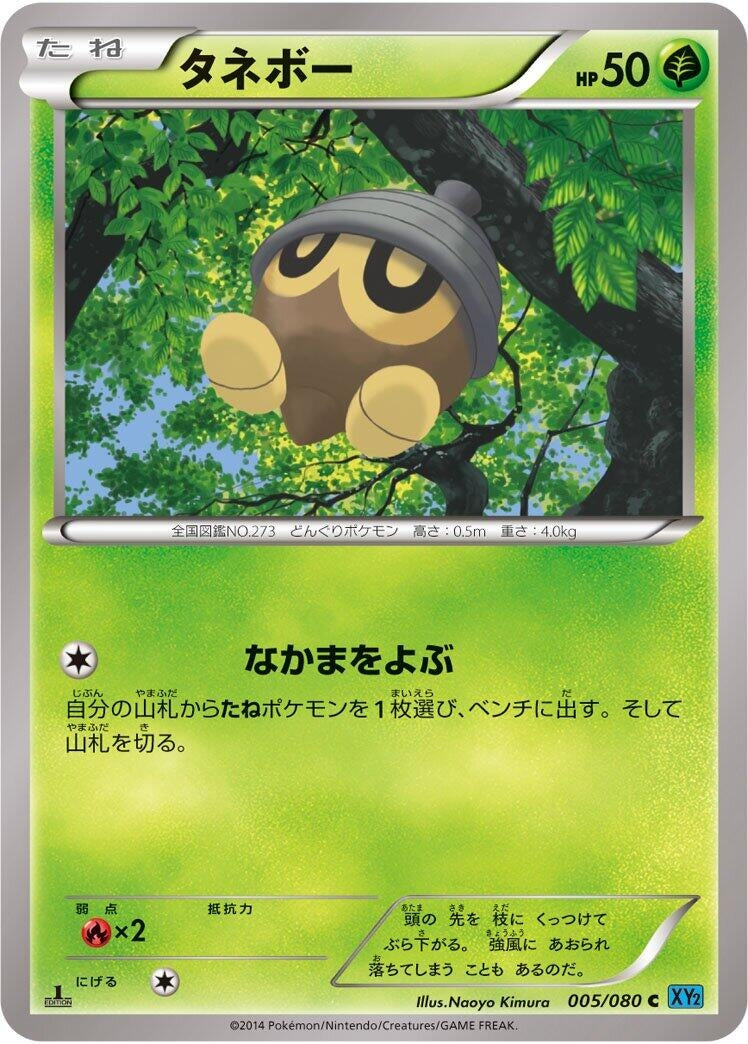 Image for Seedot (005/080) (XY2: Wild Blaze) (XY2) - Pokemon Japan