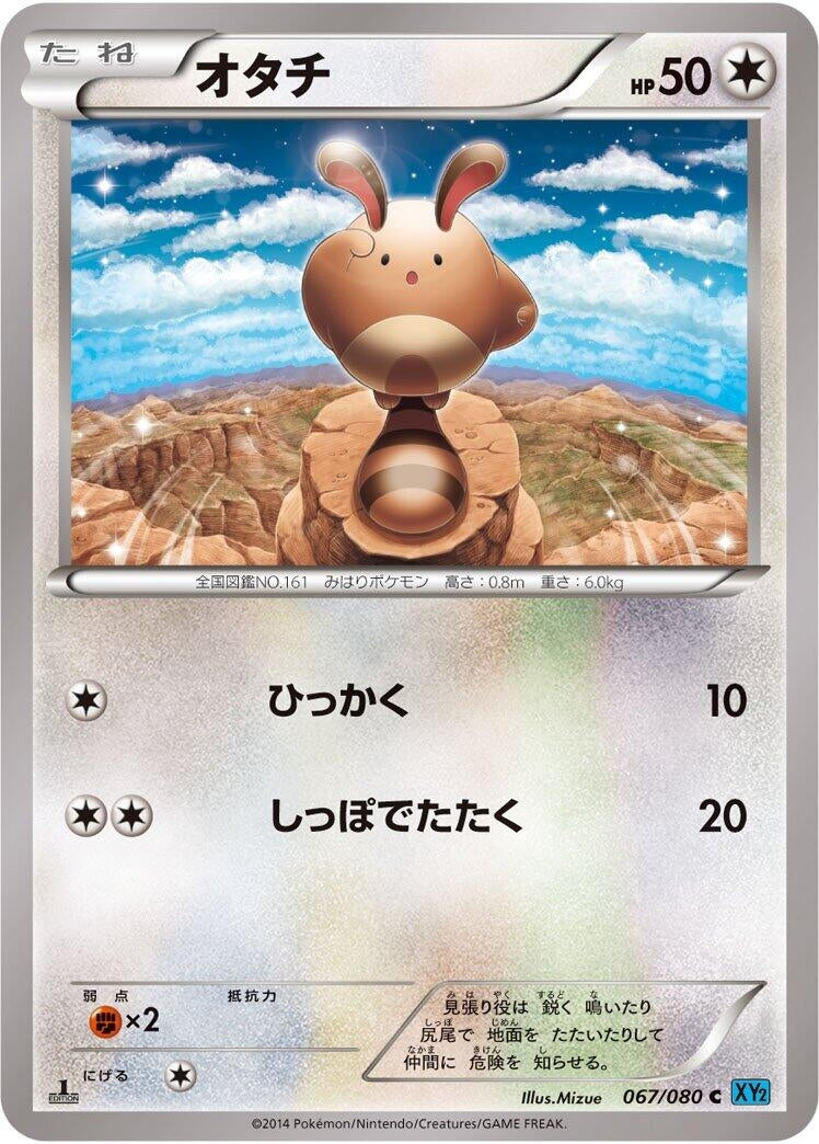 Image for Sentret (067/080) (XY2: Wild Blaze) (XY2) - Pokemon Japan