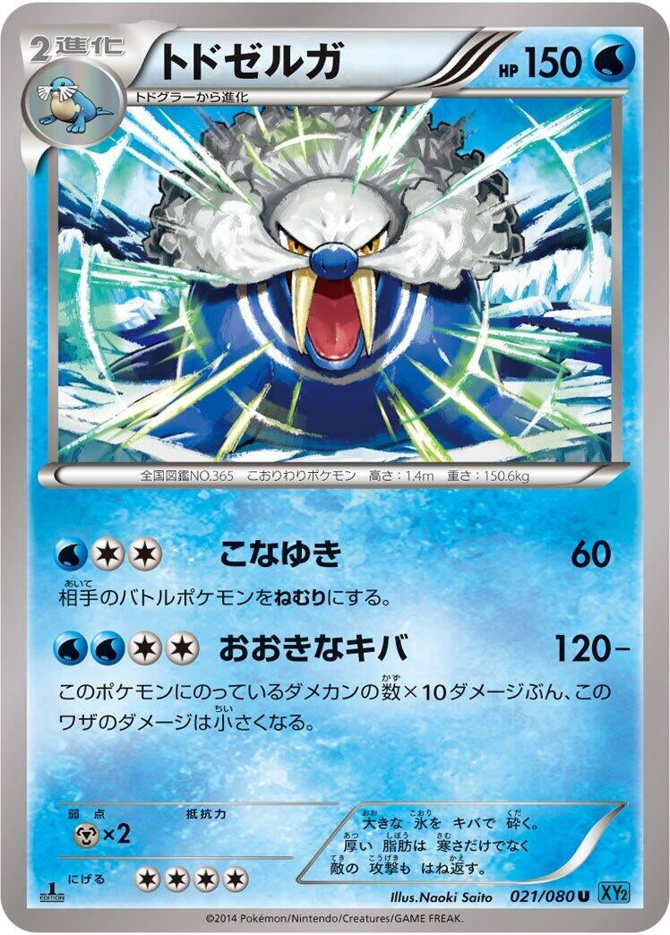 Image for Walrein (021/080) (XY2: Wild Blaze) (XY2) - Pokemon Japan