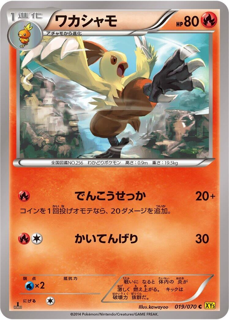 Image for Combusken (019/070) (XY5-Bg: Gaia Volcano) (XY5-Bg) - Pokemon Japan