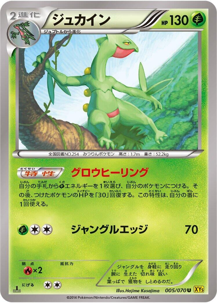 Image for Sceptile (005/070) (XY5-Bg: Gaia Volcano) (XY5-Bg) - Pokemon Japan