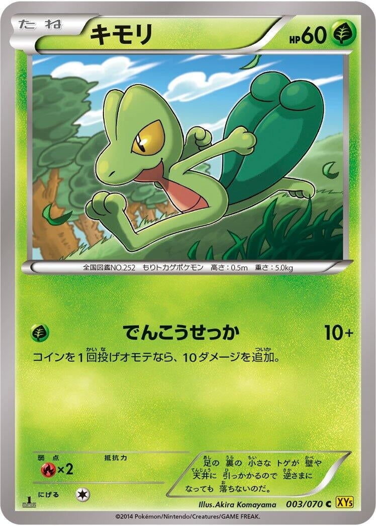 Image for Treecko (003/070) (XY5-Bg: Gaia Volcano) (XY5-Bg) - Pokemon Japan