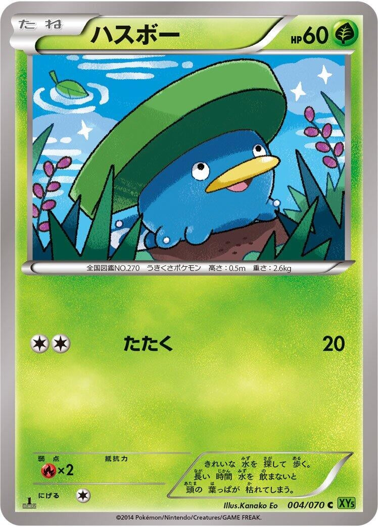 Image for Lotad (004/070) (XY5-Bt: Tidal Storm) (XY5-Bt) - Pokemon Japan