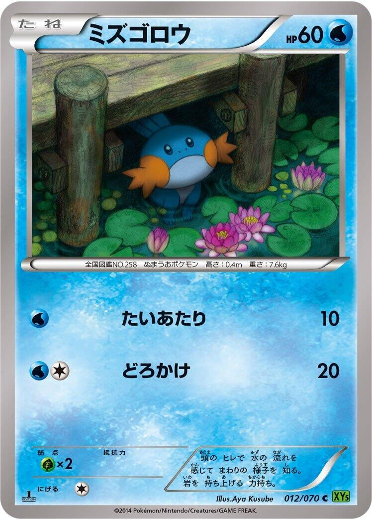 Image for Mudkip (012/070) (XY5-Bt: Tidal Storm) (XY5-Bt) - Pokemon Japan