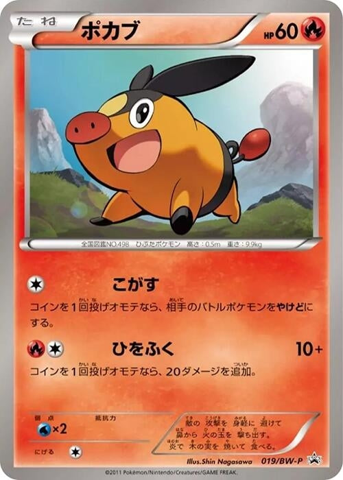 Image for Tepig - 019/BW-P (019/BW-P) (BW-P Promotional cards) (BW-P) - Pokemon Japan