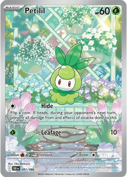 Petilil (091/086) (SV: Black Bolt)