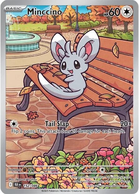Minccino (152/086) (SV: Black Bolt)