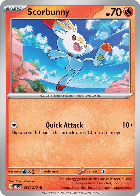 Scorbunny (036/217) (ME: Ascended Heroes)