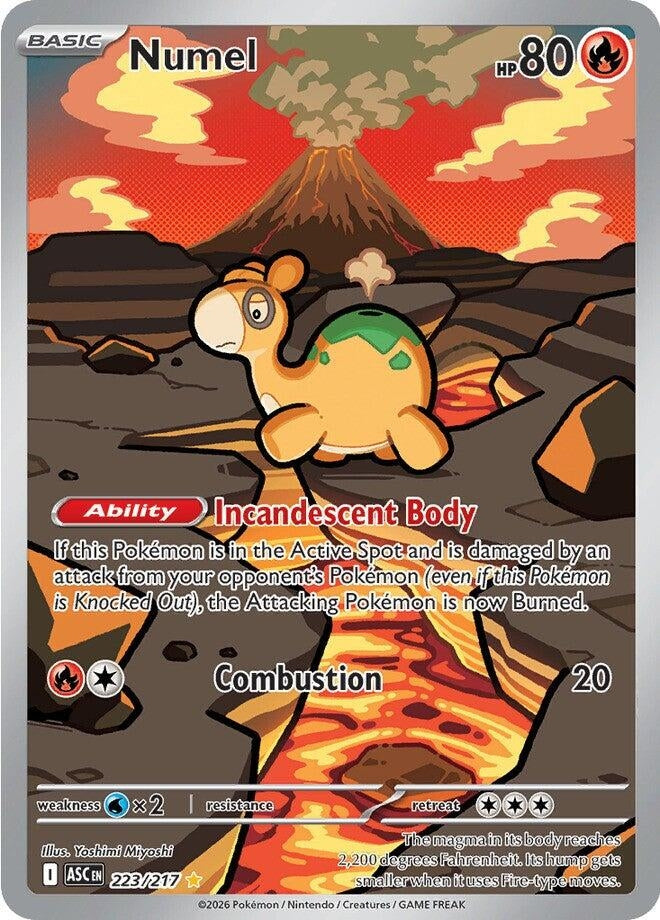 Numel (223/217) (ME: Ascended Heroes)