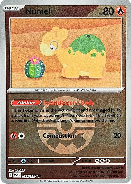 Numel - 027/217 (Quick Ball) (027/217) (ME: Ascended Heroes)