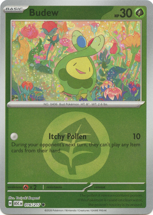 Budew - 016/217 (Energy Symbol Pattern) (016/217) (ME: Ascended Heroes)