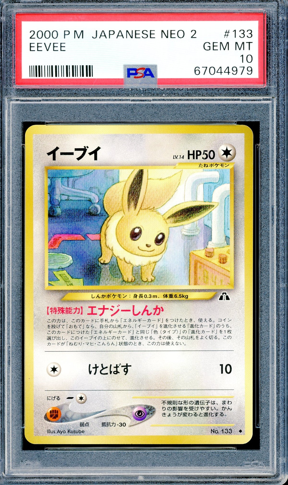 PSA 10 Eevee (#133) [Japanese Neo 2]