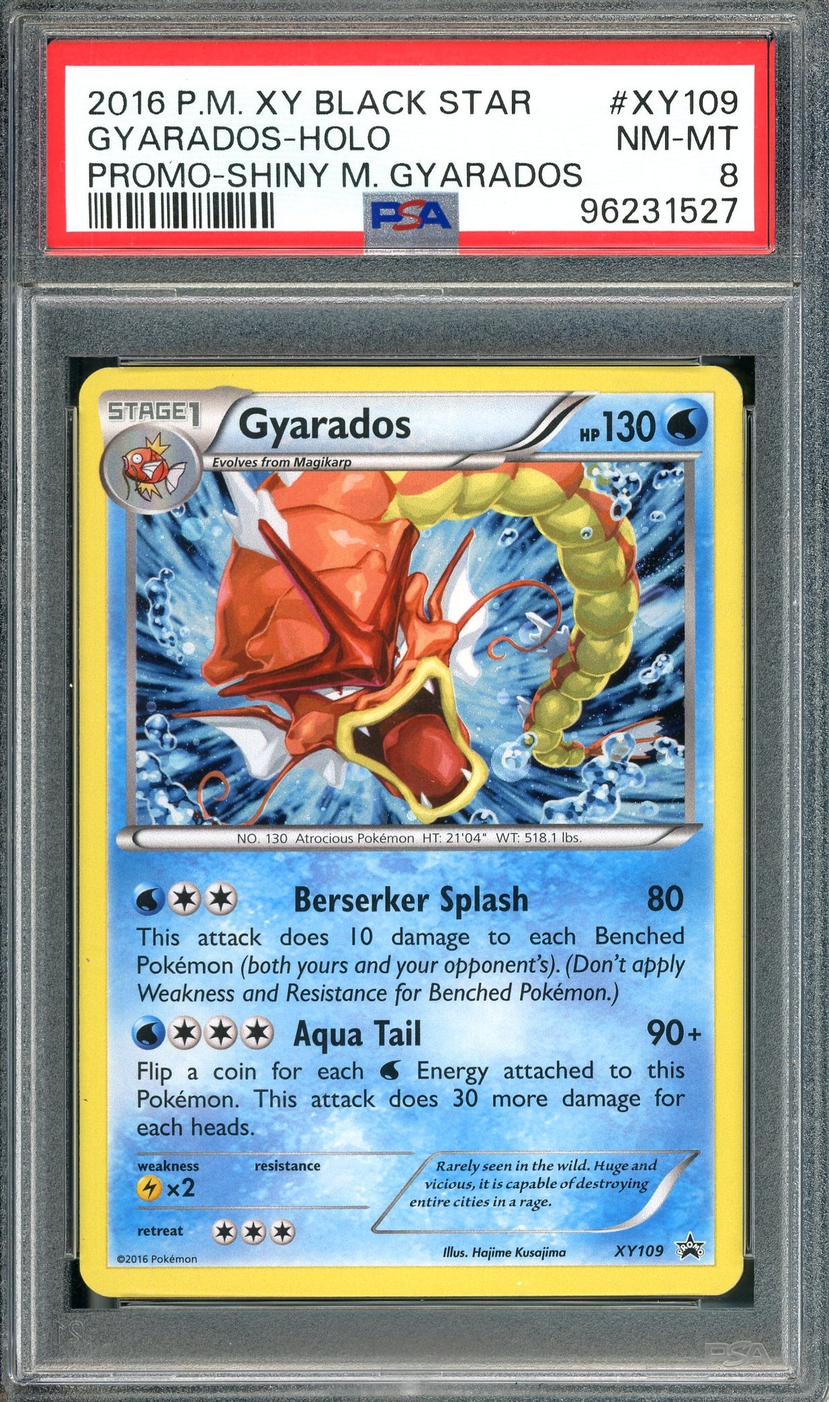 PSA 8 Gyarados (XY109) [Pokemon Black Star Promos]