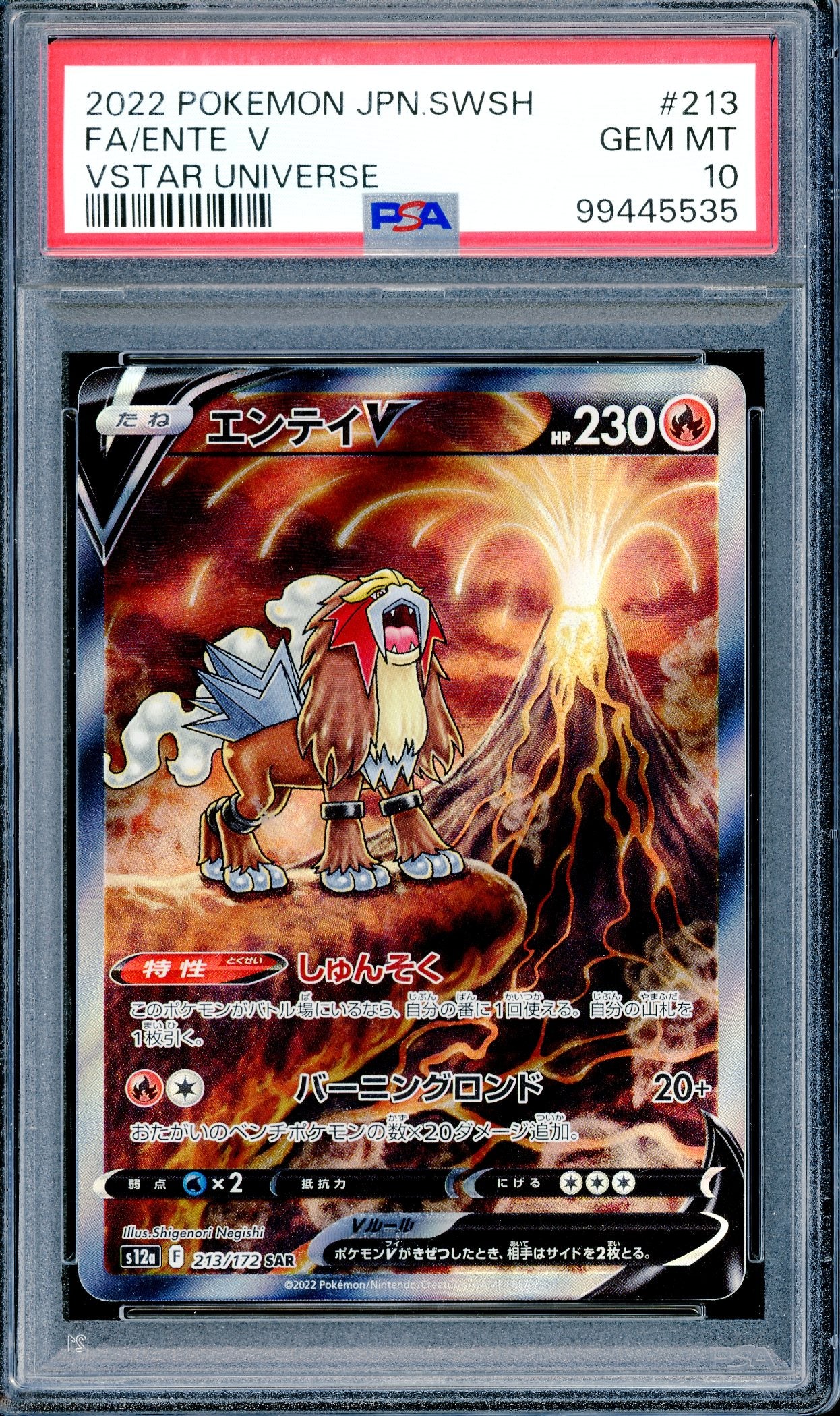 PSA 10 Entei V (213/172) [VStar Universe]