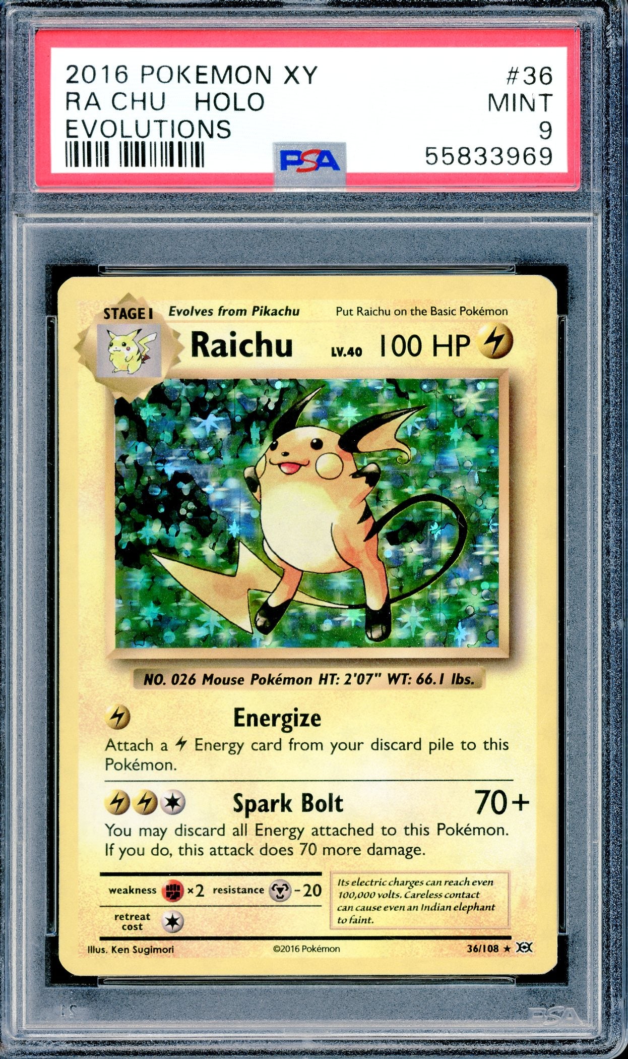 PSA 9 Raichu Holo (36/108)[Pokemon XY: Evolutions]