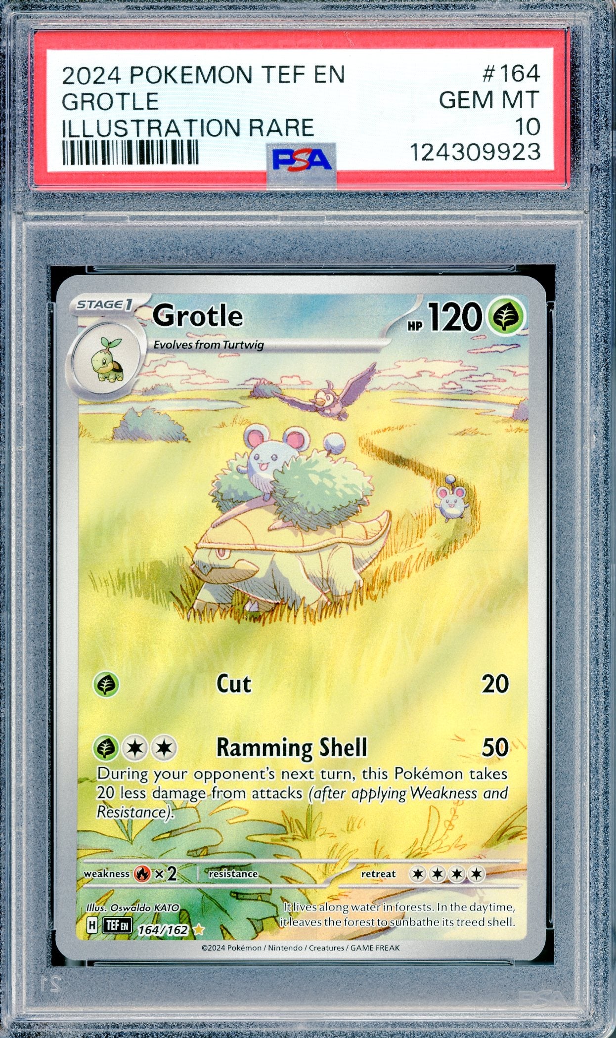 PSA 10 Grotle (164/162) [Temporal Forces]